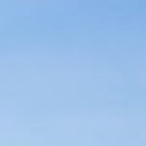 Meet your Posher, Lester